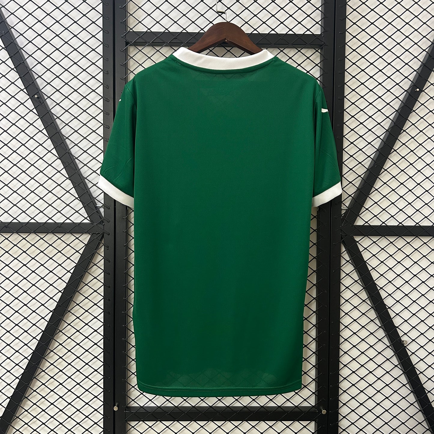 Principal Palmeiras 25-26