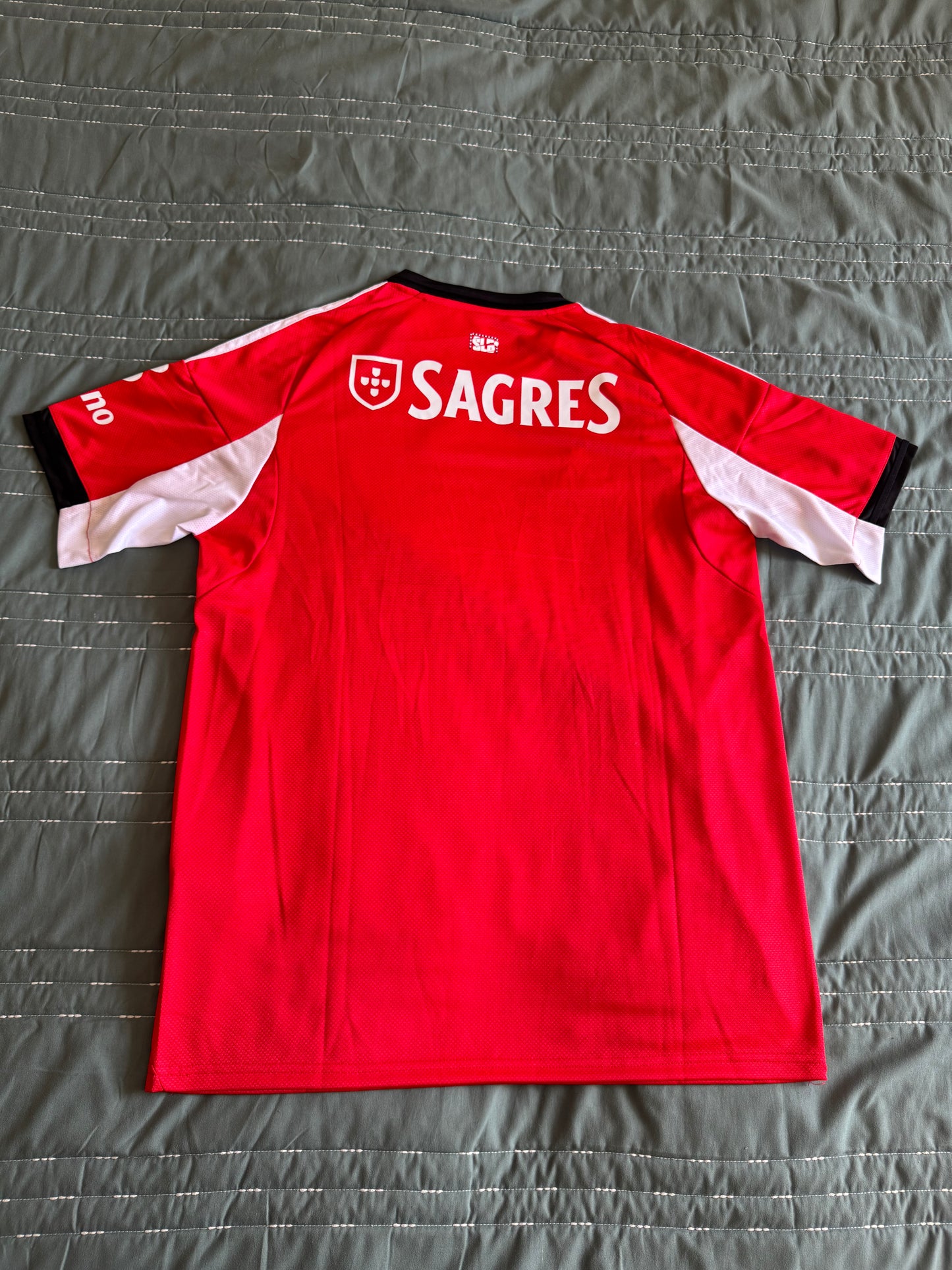 Principal Benfica 25-26
