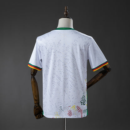 Camisola Alternativa Camarões 2026