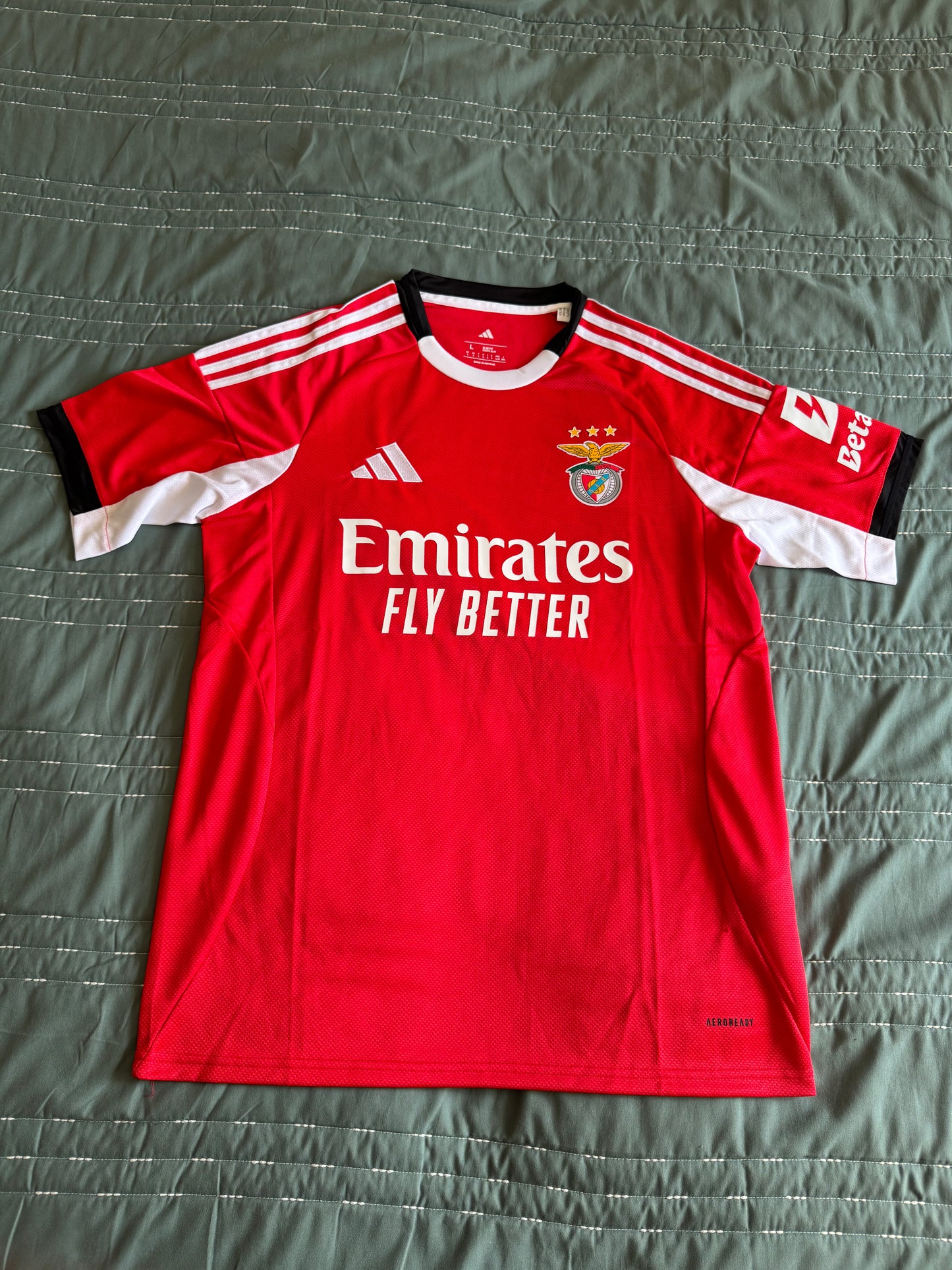 Principal Benfica 25-26