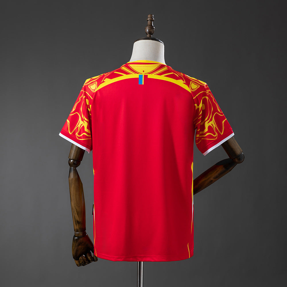 Camisola Alternativa Congo 2026