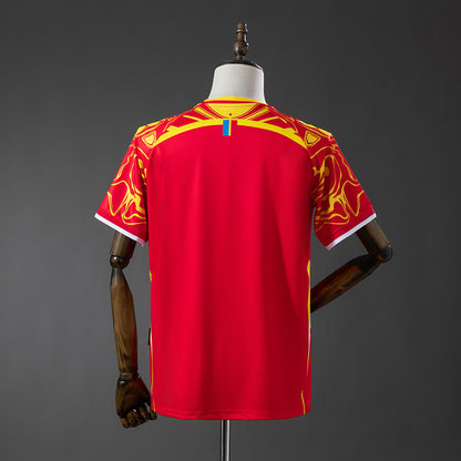 Camisola Alternativa Congo 2026